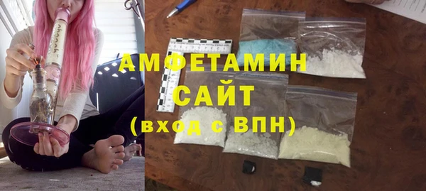 молекула духа Арсеньев