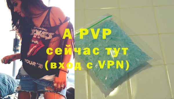молекула духа Арсеньев