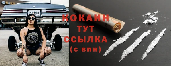 молекула духа Арсеньев