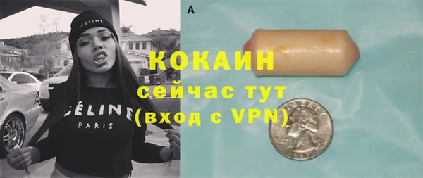 молекула духа Арсеньев