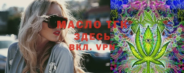 молекула духа Арсеньев