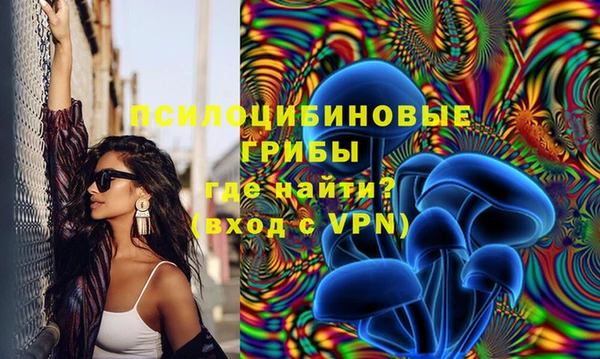 молекула духа Арсеньев