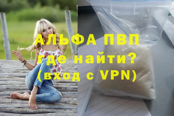 молекула духа Арсеньев