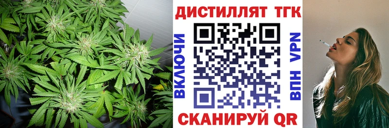 Дистиллят ТГК гашишное масло  магазин продажи наркотиков  Аркадак 